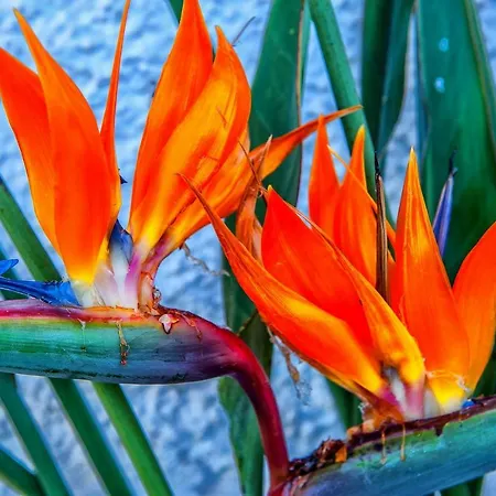 With Big Pool And Sea View *